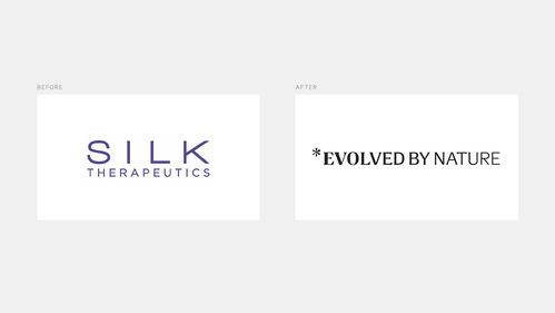 Silk Inc 绿色化学的品牌美学重塑